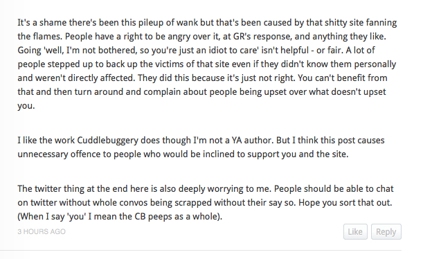 AnnsComment2