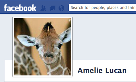 GiraffeFB
